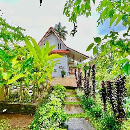 Pondok Is Oke Villa Scenic View Banyuwangi  Bagian luar foto
