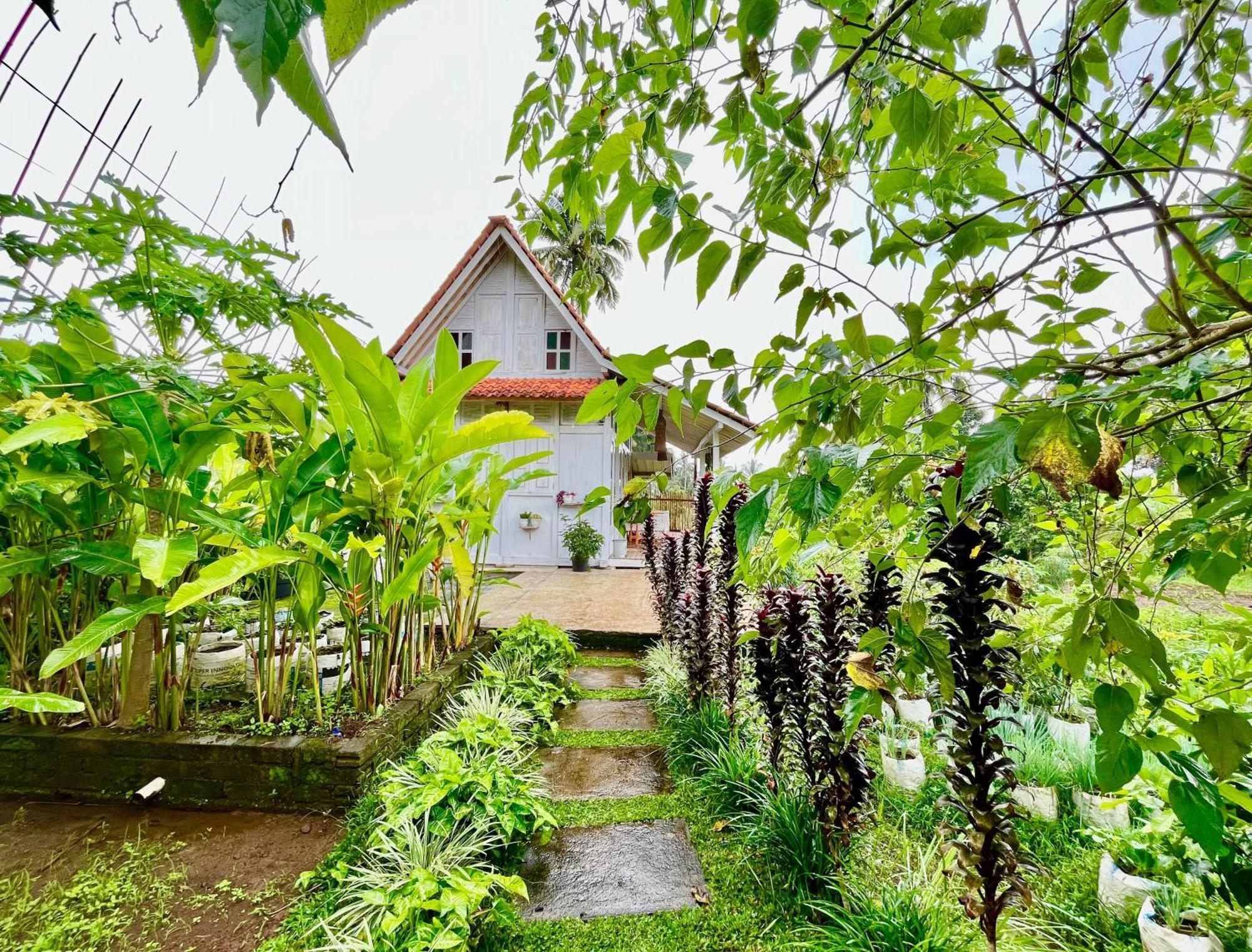 Pondok Is Oke Villa Scenic View Banyuwangi  Bagian luar foto