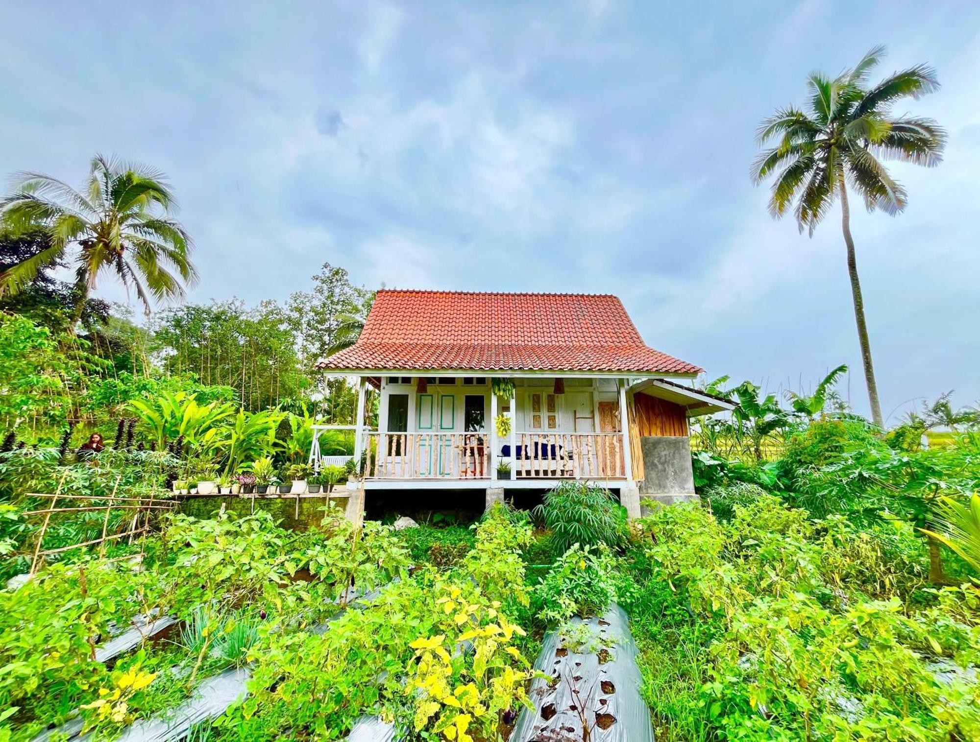 Pondok Is Oke Villa Scenic View Banyuwangi  Bagian luar foto