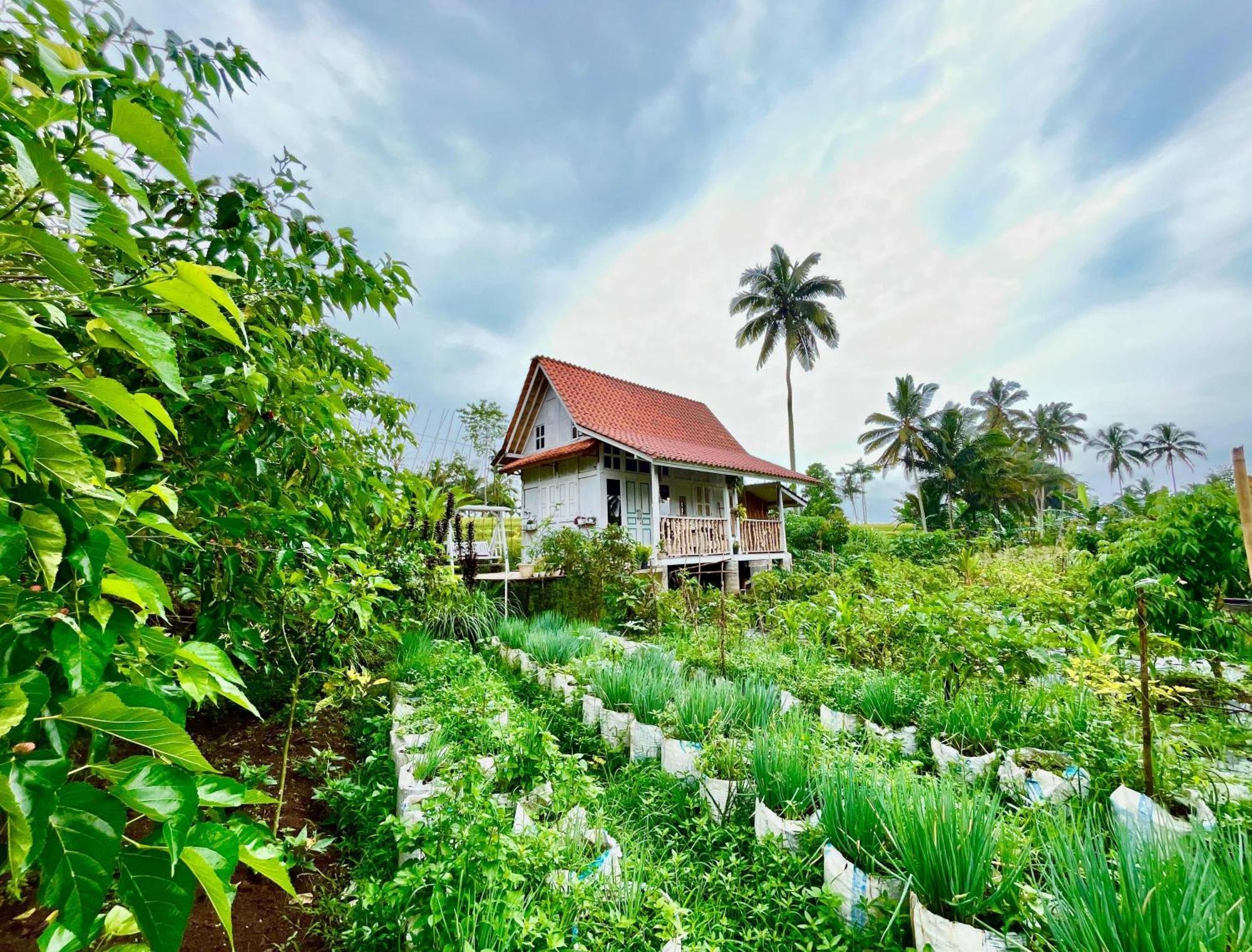 Pondok Is Oke Villa Scenic View Banyuwangi  Bagian luar foto