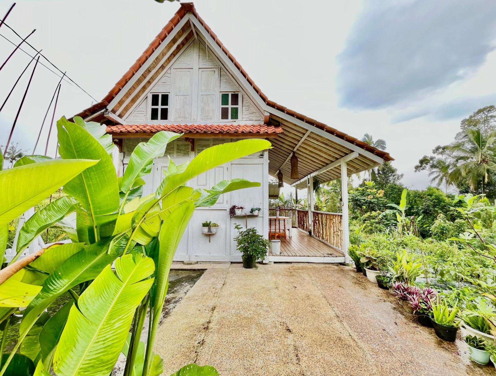 Pondok Is Oke Villa Scenic View Banyuwangi  Bagian luar foto