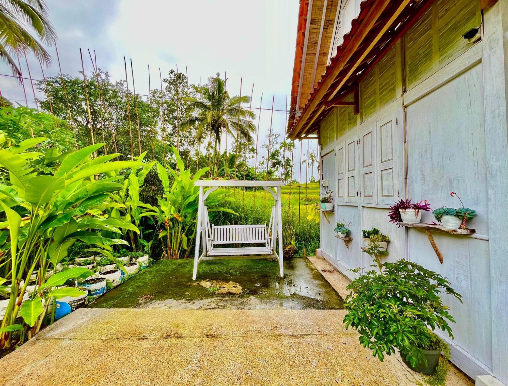 Pondok Is Oke Villa Scenic View Banyuwangi  Bagian luar foto
