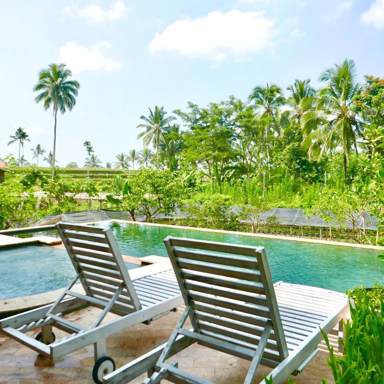 Pondok Is Oke Villa Scenic View Banyuwangi  Bagian luar foto