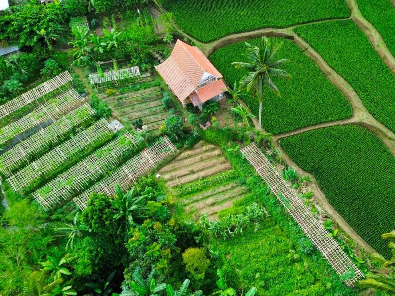 Pondok Is Oke Villa Scenic View Banyuwangi  Bagian luar foto