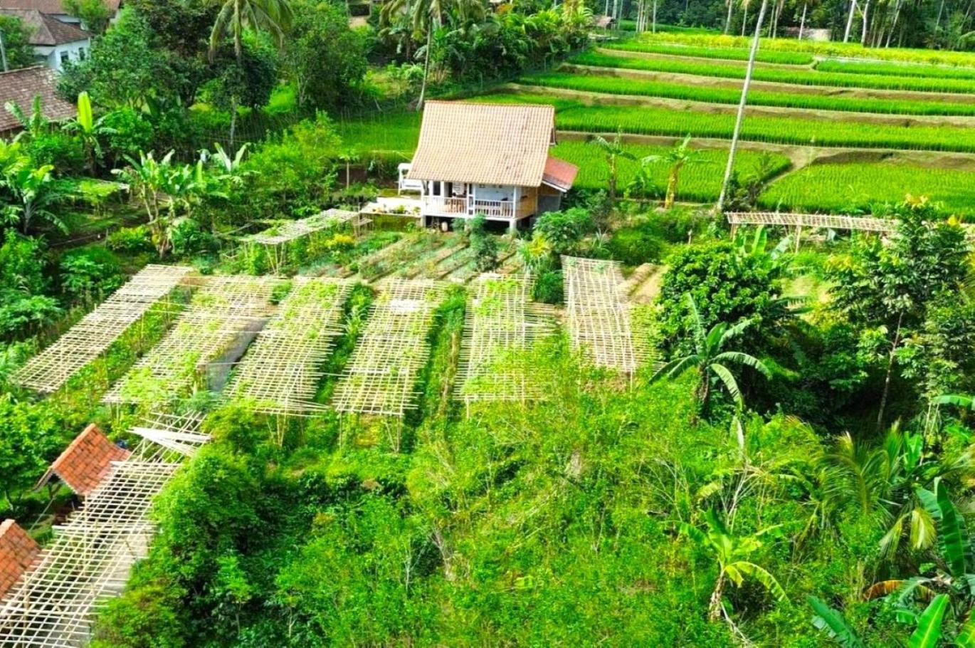 Pondok Is Oke Villa Scenic View Banyuwangi  Bagian luar foto
