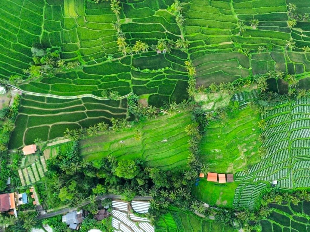 Pondok Is Oke Villa Scenic View Banyuwangi  Bagian luar foto