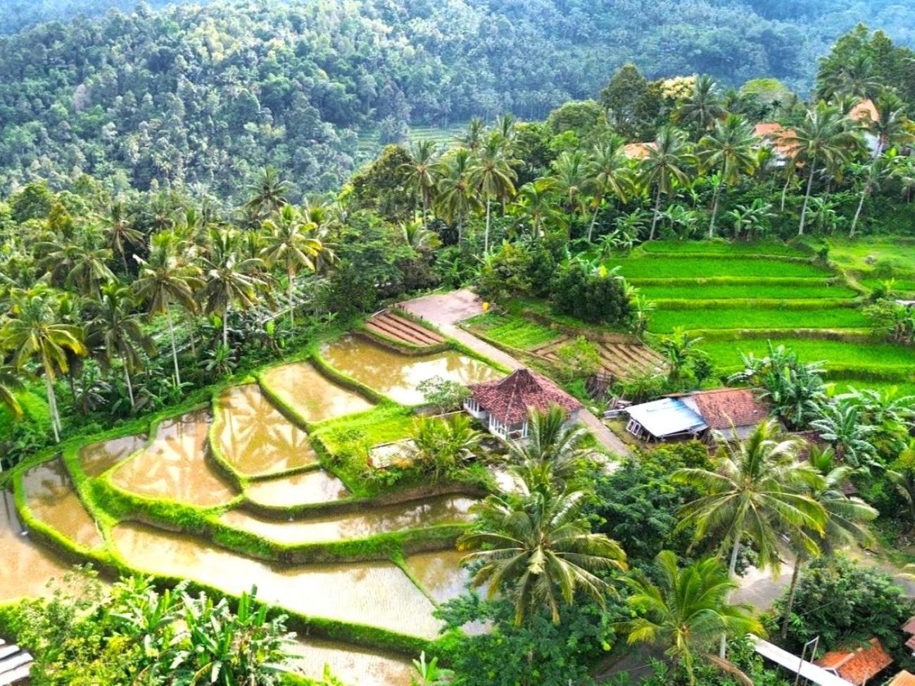 Pondok Is Oke Villa Scenic View Banyuwangi  Bagian luar foto